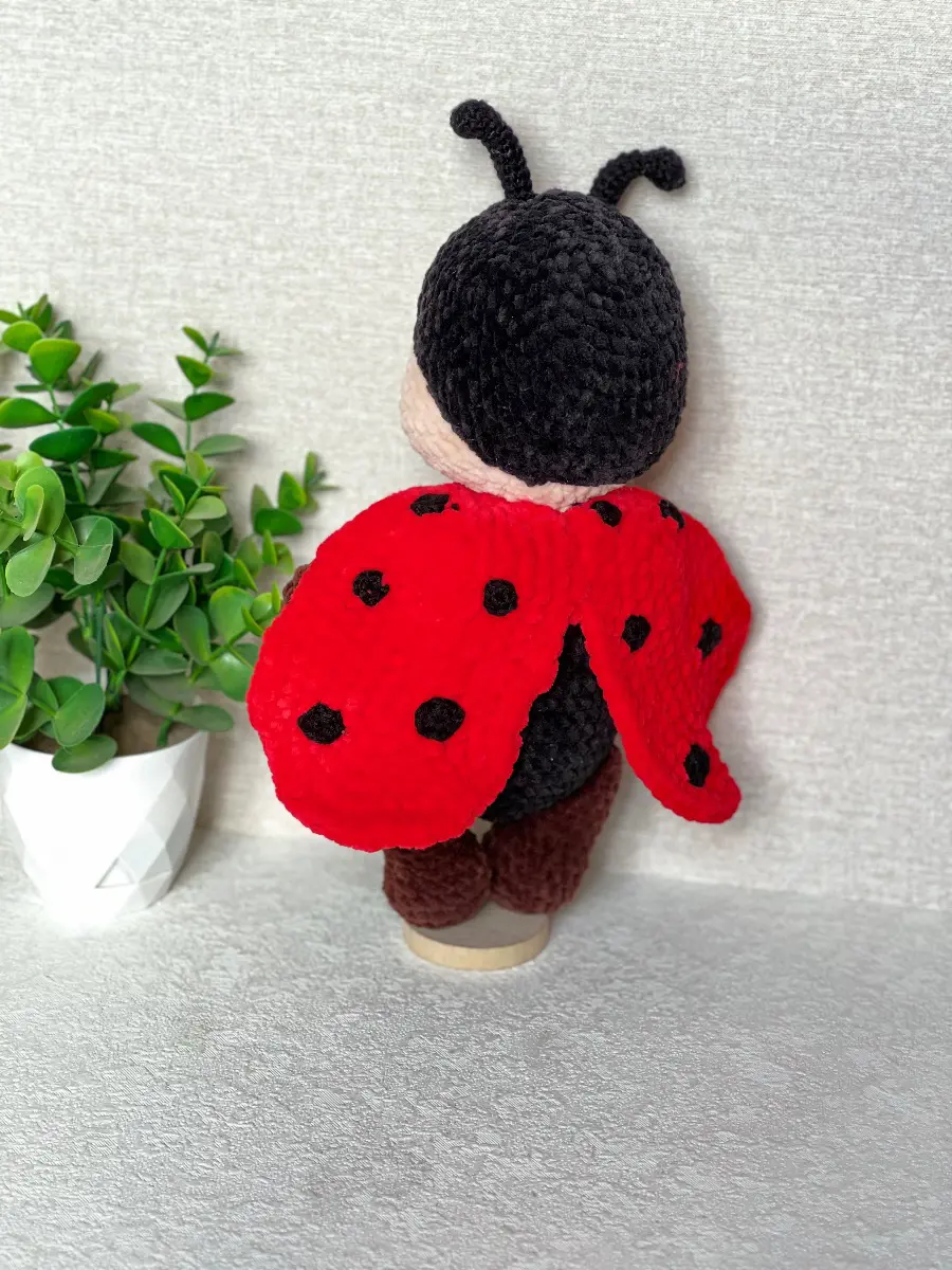 Uğurböcəyi🐞 el işi şəkli 2